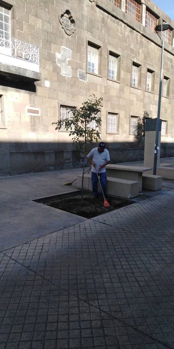 Gobierno de Guadalajara tweet media