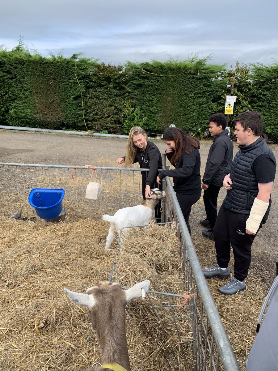 SBentley__'s tweet photo. We’ve had the best time pumpkin picking and carving as part of tier 2 values day! A lovely outdoor experience to end the term 🎃 #ThisIsAP #ValuesDay https://t.co/wZyYu8LIiZ