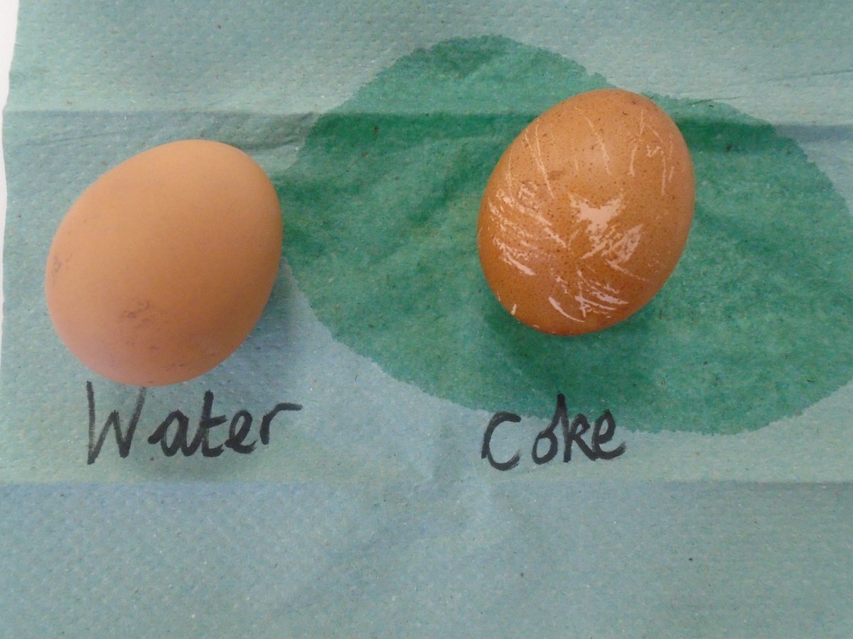 Class10StMarys's tweet photo. This week class 10 have written their story hot write, learnt about the Sacrament of Confirmation and we've had the results of our egg experiment! https://t.co/yvLFBVSUKs