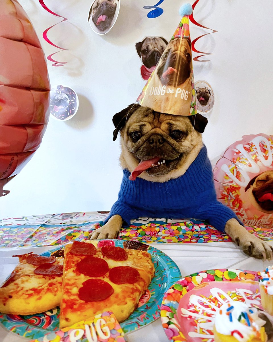 WHO’S READY TO PAWTY 🎉 #NationalPugDay