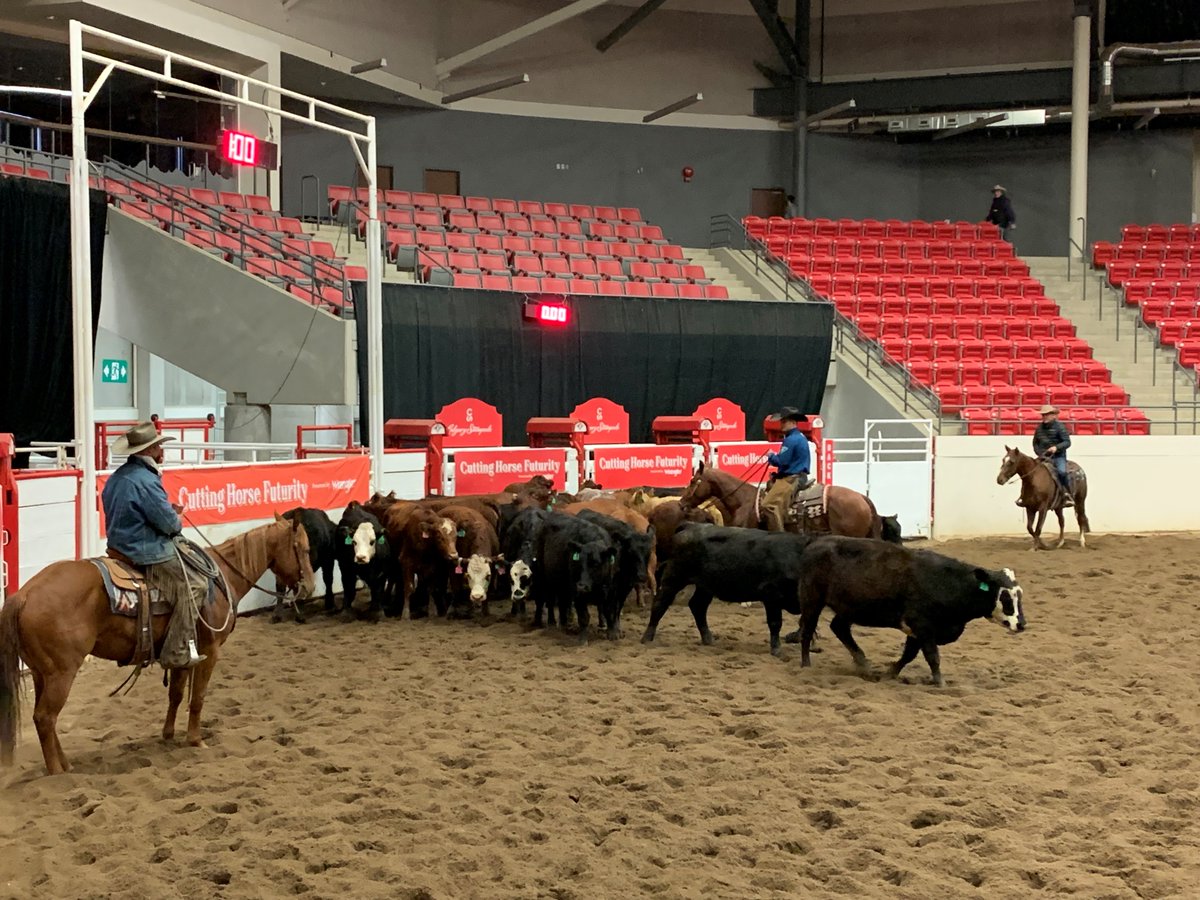 Calgary Stampede tweet media