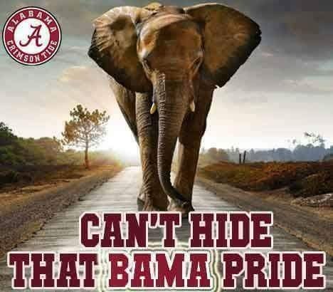 @TidalTowel @GrilledCheezer @CoolietaryO @Set1hundred @JustinRiley7 @Lynnnbama @milosburgershop @bamakittkat @GregA51 @JeromeFromBham @ShelbyFrom @drliansi @krisse_story @EllisBamfan1964 @bamaclay1 @DrinkMilos @Gumby_Dave @sjsnowflake @irbransmom Thanks for the SO Tidal Towel! We're going Roll over MS State Saturday