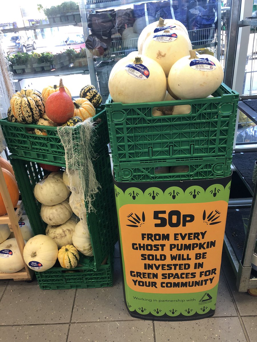 Sarah Roberts tweet media