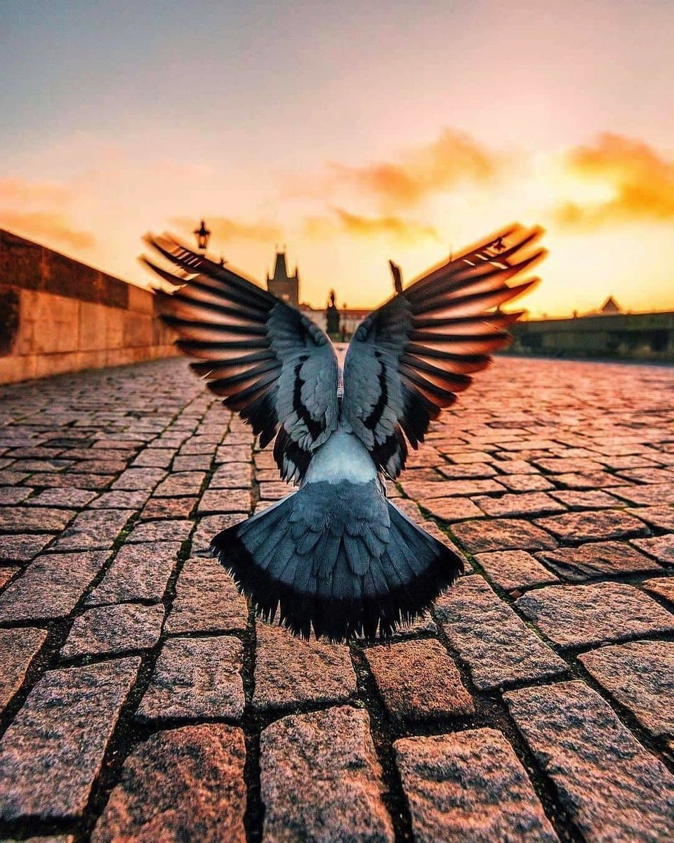 اجعلوا الفرح يتسلل إلى قلوبكم .. مهما كان حجم الاحباط او الحزن او اليأس .. ما دام ايمانكم موجود فالأمل واجب .. آمنوا بالله وبقدرته على تغيير الأحوال إلى الأفضل ❤ 

<a href="/mkt_chess/">شطرنج تسويق</a>
#الحياه_الطبيعيه