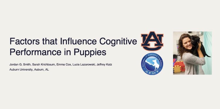 Congratulations to Jordan Smith on being awarded 2nd place in the poster competition at this year’s <a href="/APDT/">APDT</a> conference!