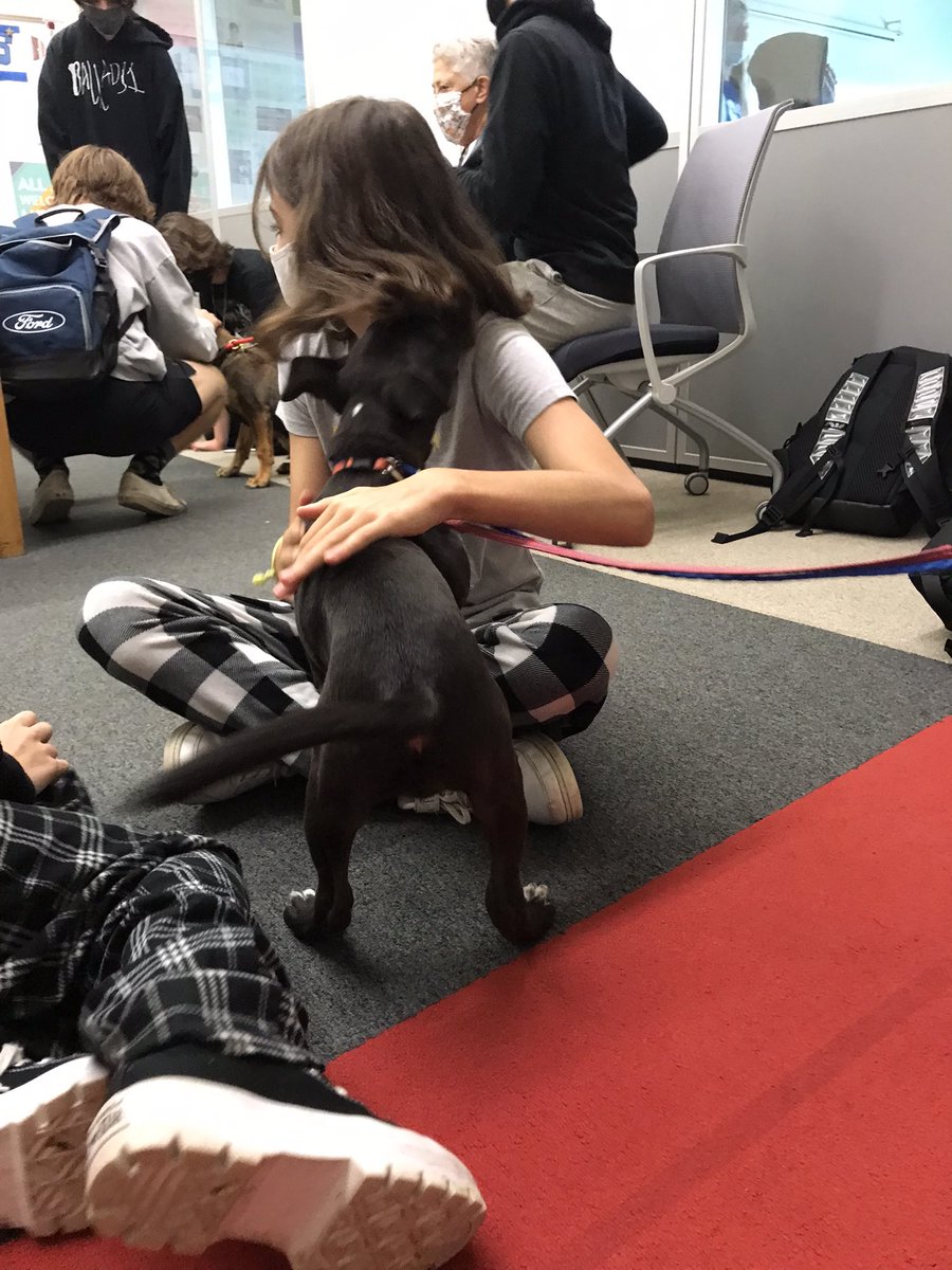Best. Day. Ever.  Students visiting with dogs today.  #stressrelief