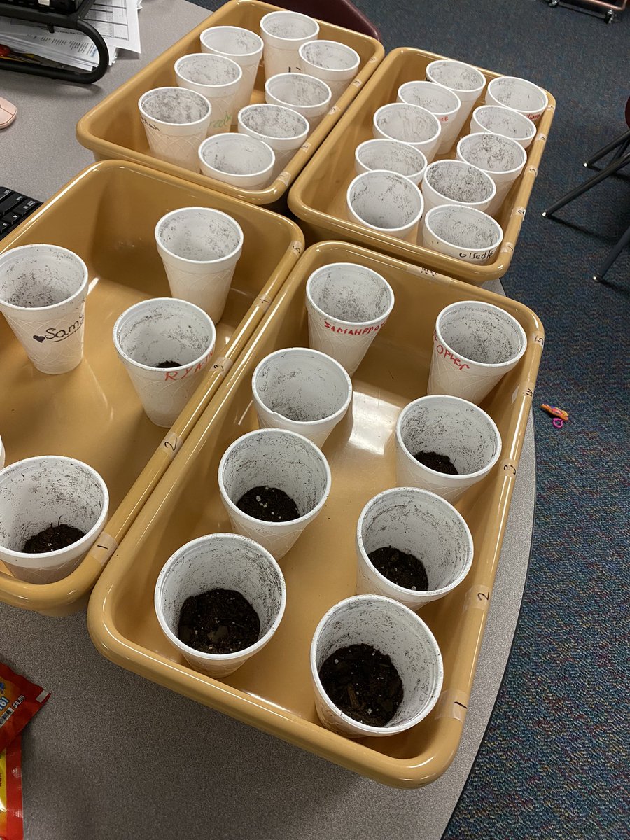 Today, we had a special surprise! 💌
Jack sent us some of his magic beans to plant in class 🌱 ✨ 
#teamJOY 
<a href="/MrsRodon_RPE/">Madison Rodon</a> 
<a href="/HumbleISD_RPE/">River Pines Elementary</a> 
<a href="/dbroomfi/">Dominique Broomfield</a>
