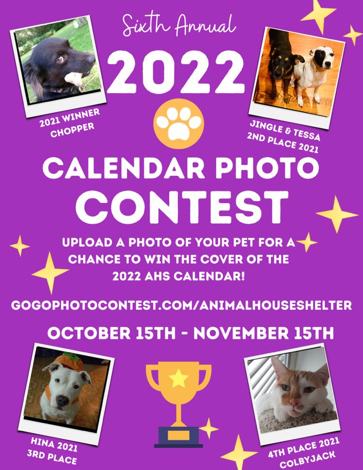 Animal House Shelter (@HuntleyAHS) / Twitter Animal House Shelter (@HuntleyAHS) / Twitter