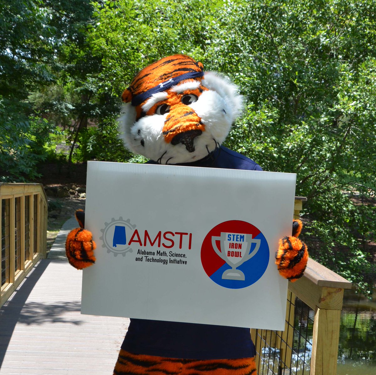Look who is in the news at Auburn University.  Aubie is ALL IN!! 
Check it out... auburn.edu/cosam/news/art…