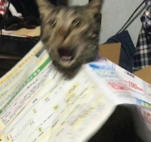 Neeeeeeee!!!!! 
<a href="/Obamie_noodle/">Obamie</a> yok muuuuuu????