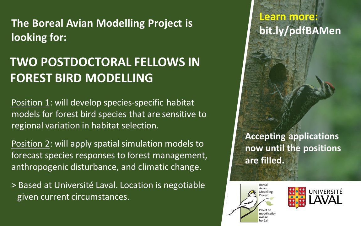Great opportunities for 2 #Postdoctoral Fellows in #avian #ecology with <a href="/borealbirds/">BAM Project</a> based <a href="/universitelaval/">Université Laval</a>  to model forest landscapes and bird populations in eastern Canada with <a href="/Tremblay_Jun/">Junior Tremblay</a> Please RT.
More info👉bit.ly/pdfBAMen