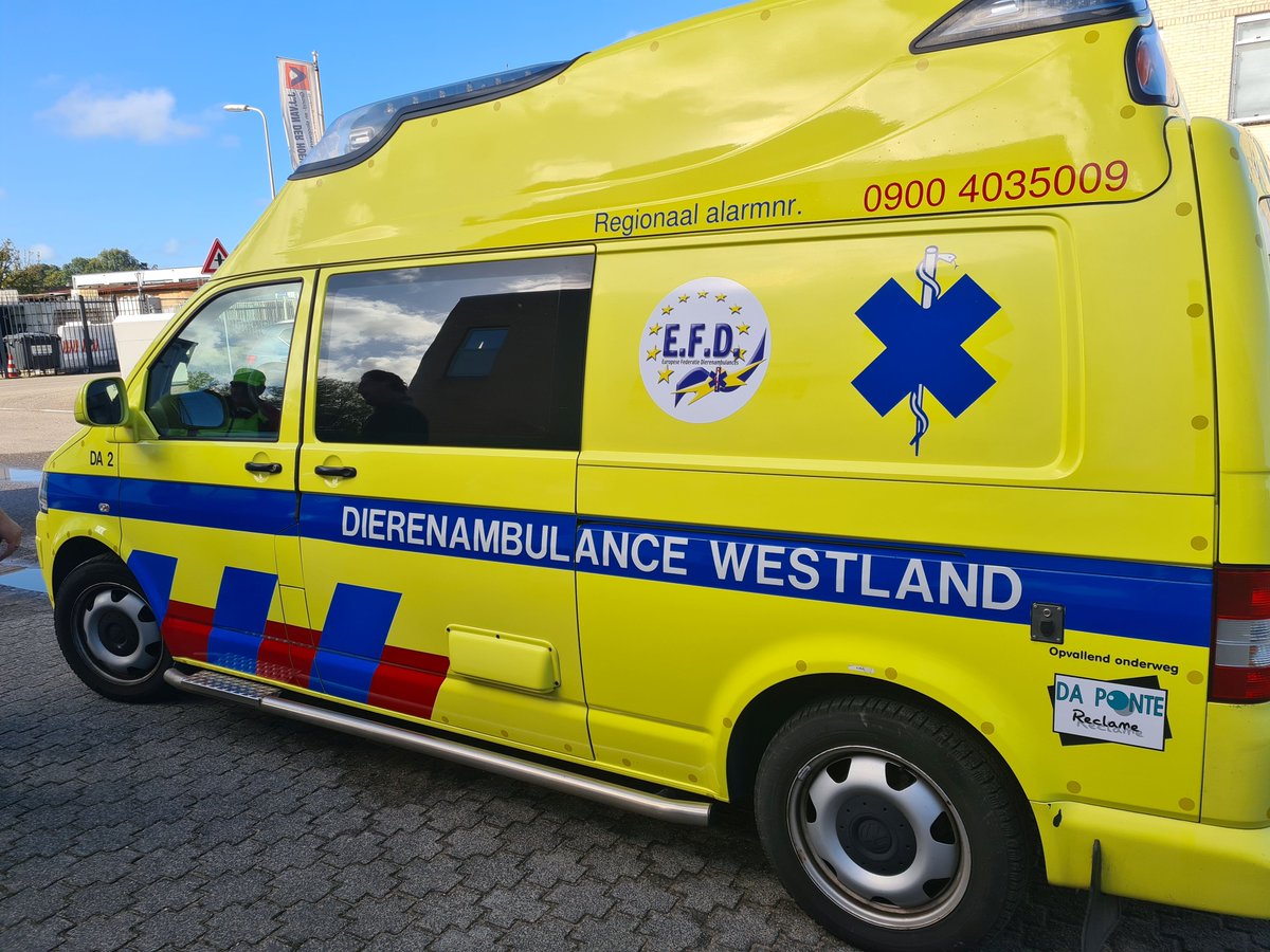 Dierenambulance de Wijs/Westland tweet media