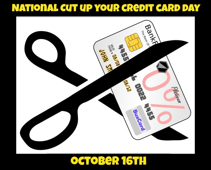 Lisa Hilton tweet media