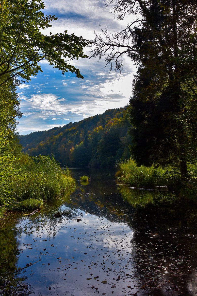 littleswisslady's tweet photo. #Hasenberg
#Egelsee https://t.co/cgl6S76UeD