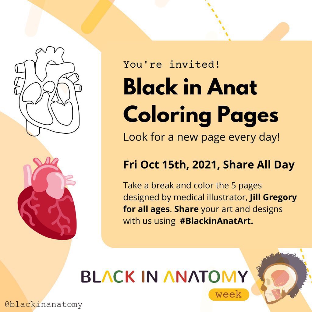 aa_omoniyi's tweet photo. #BlackinAnatArt
#BlackinAnatWeek
#WorldAnatomyDay
@blackinanatomy https://t.co/Lhs3tnFXrX