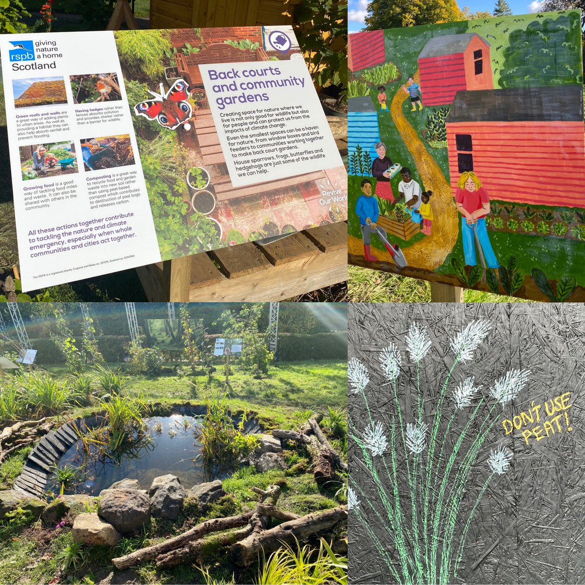 Gorgeous day☀️ for the launch of the @RSPBGlasgow #GlasgowtoGlobe 🌍💚 garden at @GlasgowBotanic Gardens. Well done everyone! It’s a beautiful green space, packed with info, art, lovely plants & nature-friendly features too! #greenroof #raingarden #reviveourworld #PeatFree #COP26
