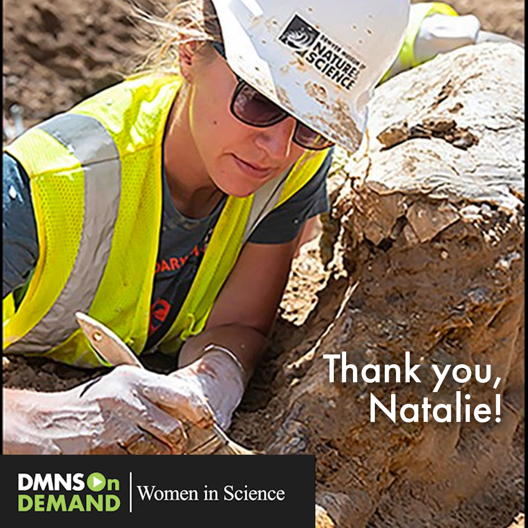 DenverMuseumNS's tweet photo. Read the full conversation at https://t.co/chAlCE2aYc or learn more about the paleontology and geology prep labs at https://t.co/f7Yuu6NZzQ. Thank you, Natalie!
#WomeninScience #paleontology #geology #DMNS #Museum #Science #preparator #Nature #NatalieToth https://t.co/ABhhHCB6bZ