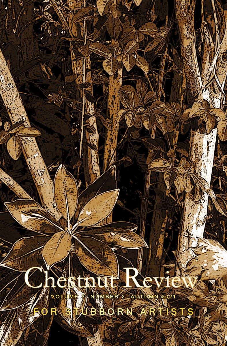 Don't forget to check out our Autumn issue, out today!

chestnutreview.com