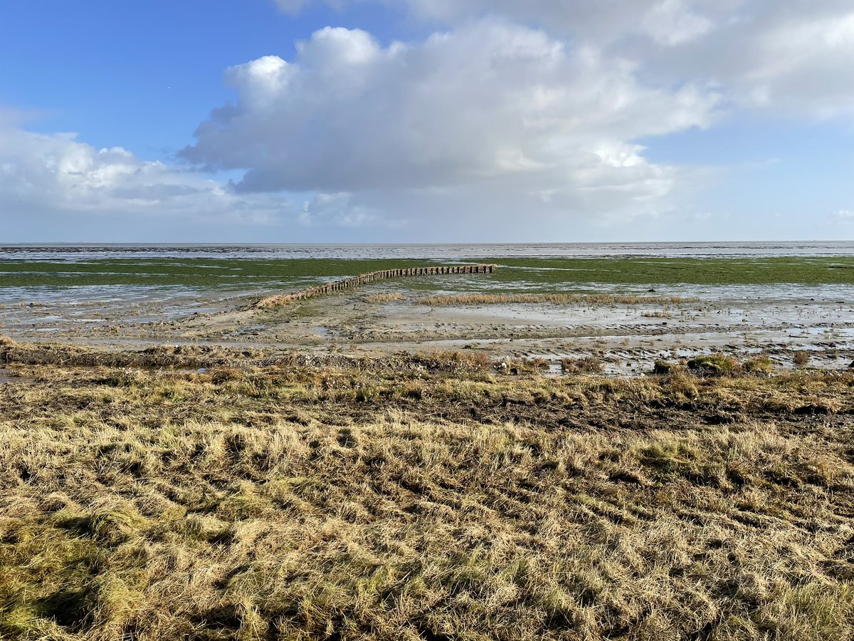 Interessante bijeenkomst over beheer in komberging Marsdiep-Eierlandse gat vandaag. @landschapnh en <a href="/staatsbosbeheer/">Staatsbosbeheer</a> namen ons o.a. mee naar de Balgzanddijk, het Amstelmeer en de vogelrots naast de Balgzandpolder. Goede gesprekken over beheer met uiteenlopende stakeholders!
