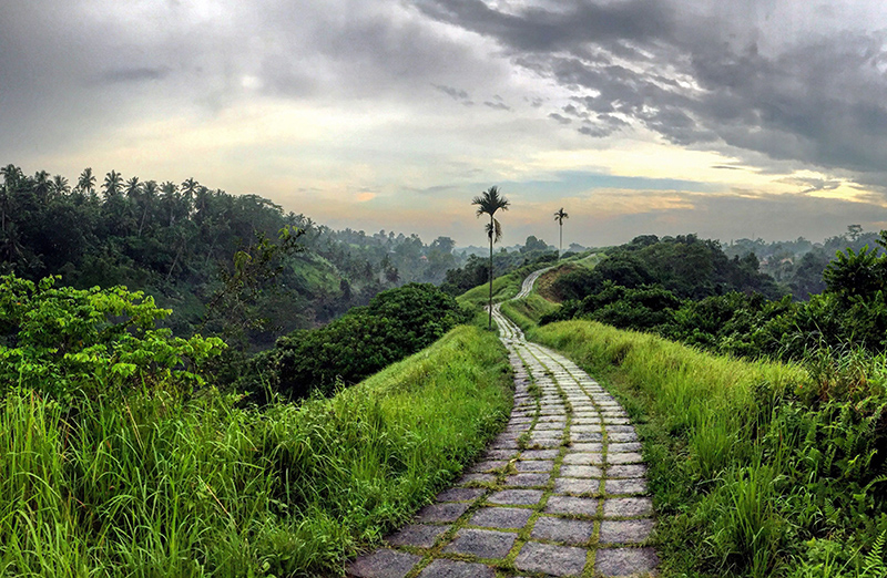 Nature💚 ….. #nature #photography #naturephotography #love #photooftheday #travel #instagood #beautiful #picoftheday #art #photo #instagram #landscape #naturelovers #like #follow #happy #bhfyp #summer #travelphotography #life #sunset #style #instadaily #fashion #twitch #Twitter