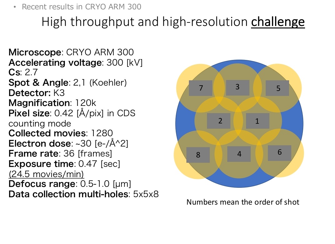 Totally agree. Shot #1 and #2 look like purely for the number. Without touching the carbon support, these would normally suffer greatly from charging and do not contribute to the high resolution, unless there is conductive support over the hole, such as carbon.