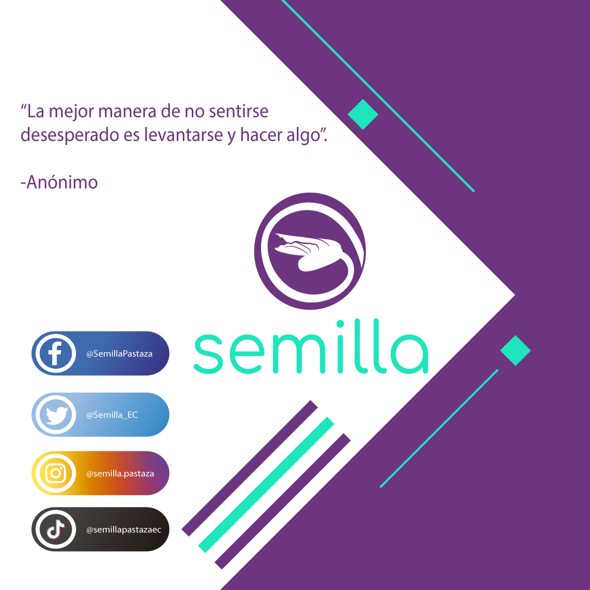 Semilla_EC's tweet photo. https://t.co/cbFigHlpQi https://t.co/ZtmjirHslN