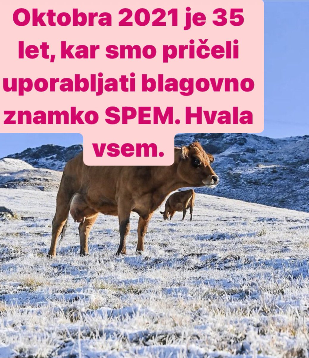 SPEM Komunikacijska skupina (@spem1986) on Twitter photo 