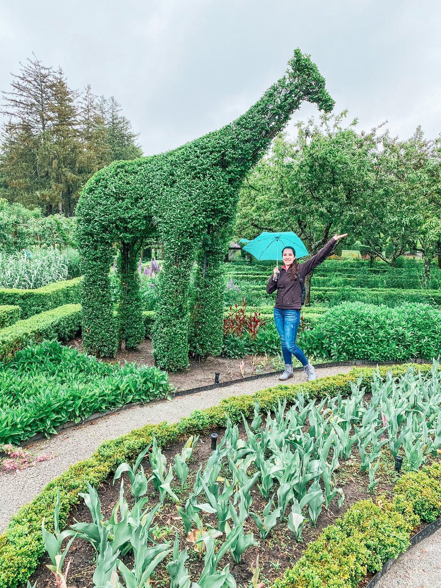 JourneyWJBlog's tweet image. Hands up if you’re ready for the weekend!🦒 bit.ly/greenanimals

#giraffe #animals #greenanimals #greenanimalstopiary #greenanimalstopiarygarden #topiary #garden #newportmansions #portsmouth #newport #rhodeisland #newportpreservationsociety