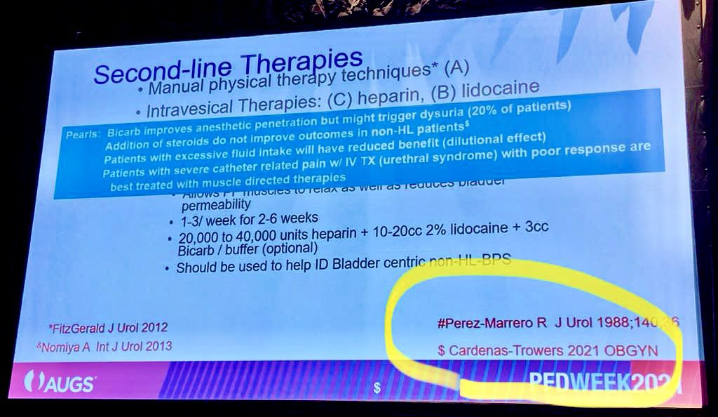 droliviamd's tweet photo. When your published thesis study is cited during the AUGS State-of-the-art lecture on IC/BPS! 🤯🙏🏽 #PFDWeek21  #PFDWeek2021 @FPMRS 
📸c/o @KeracFalkMD 🤍 https://t.co/RHzFOSkDpM