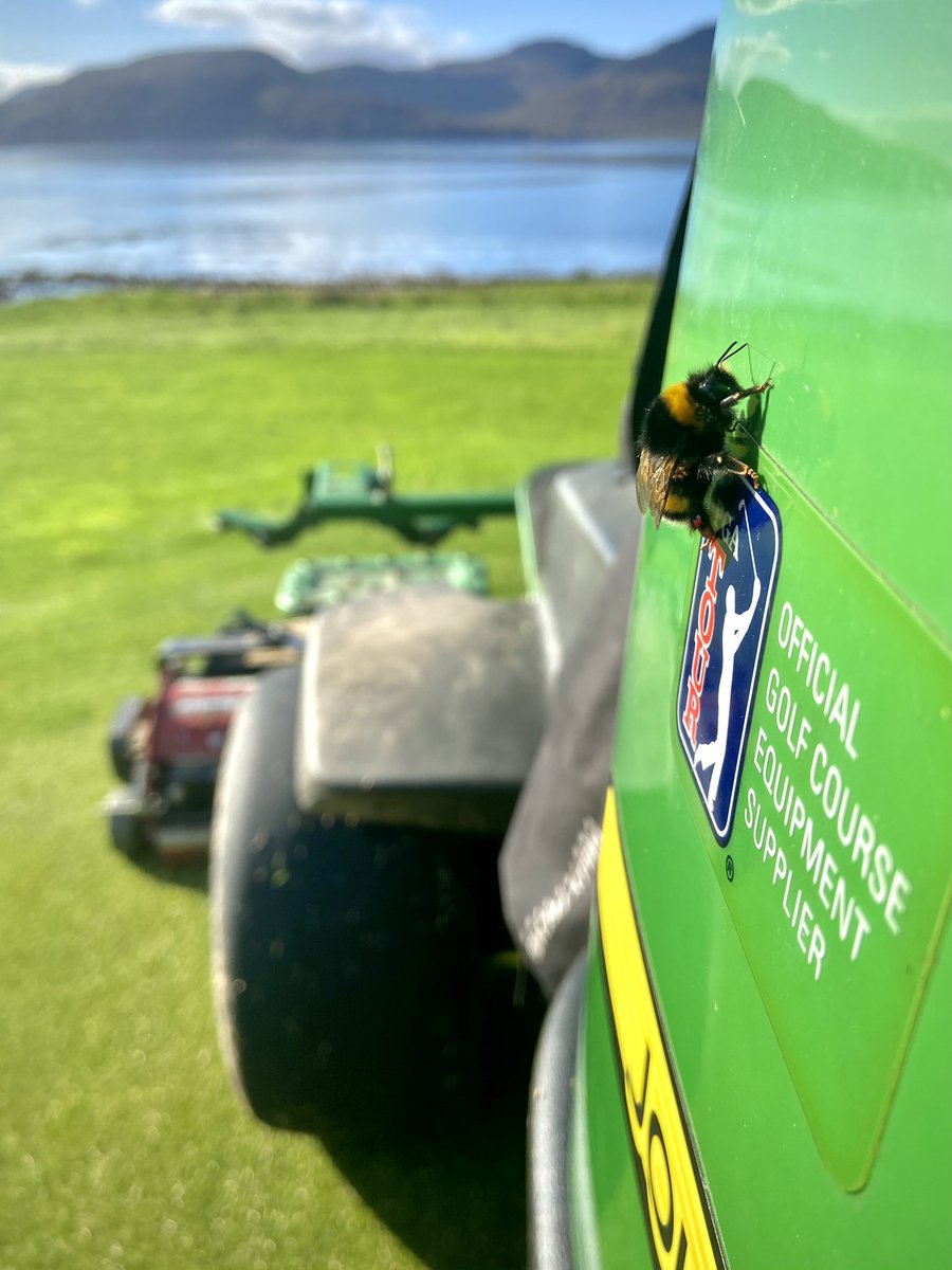 Campbell on the greens tweet media