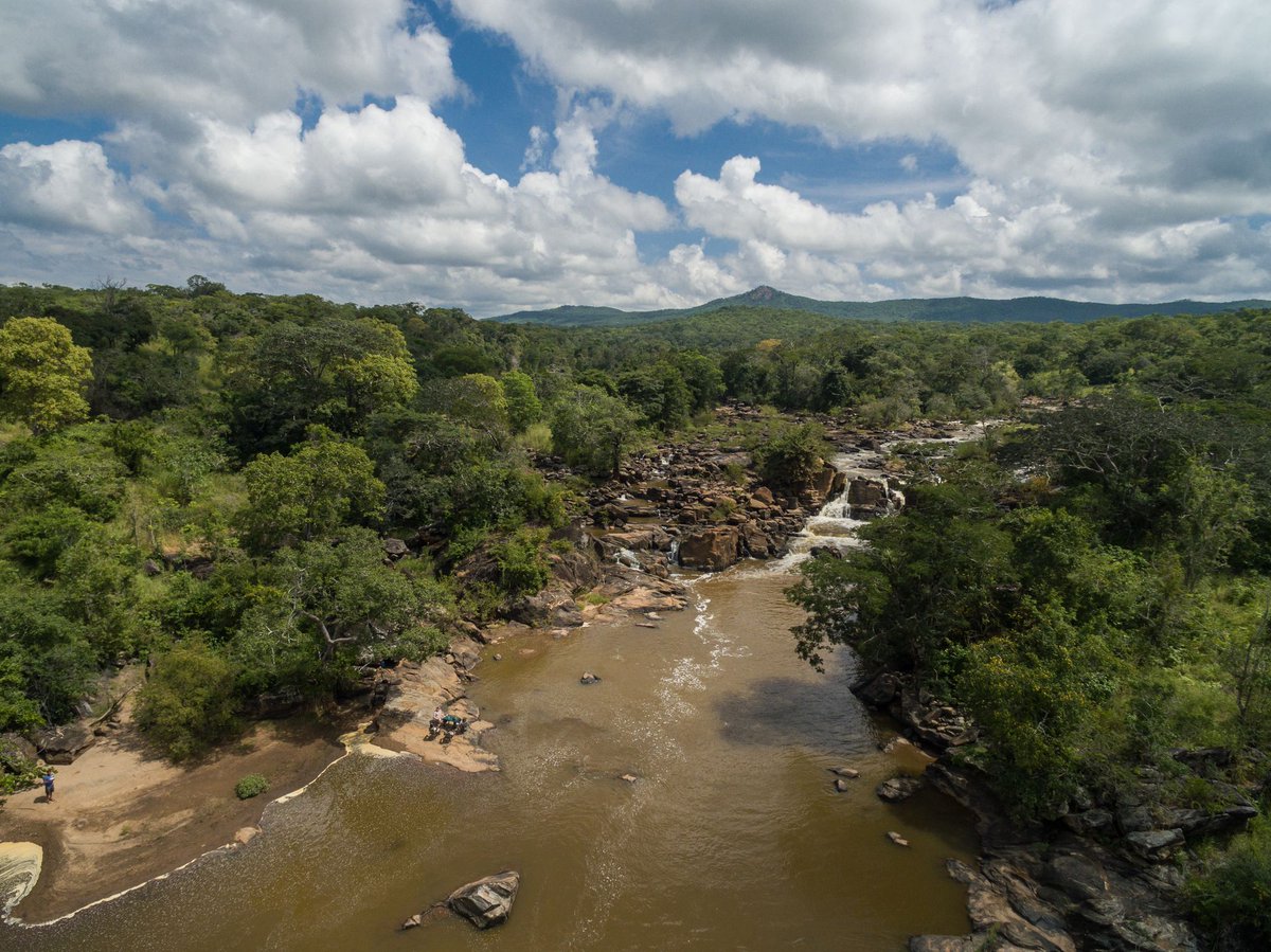 MalawiTravel's tweet photo. The magnificent Bua River runs through the rugged wilderness of the Nkhotakota Wildlife Reserve as it tumbles down the Rift Valley escarpment toward Lake Malawi. 🛶 😍

Check out⬇️
@TongoleWL @rafikicamp @AfricanParks

#Malawi #OnMyWishlist #MalawiDreaming

📸 Matthew Brazier https://t.co/gLA0iCk5fj