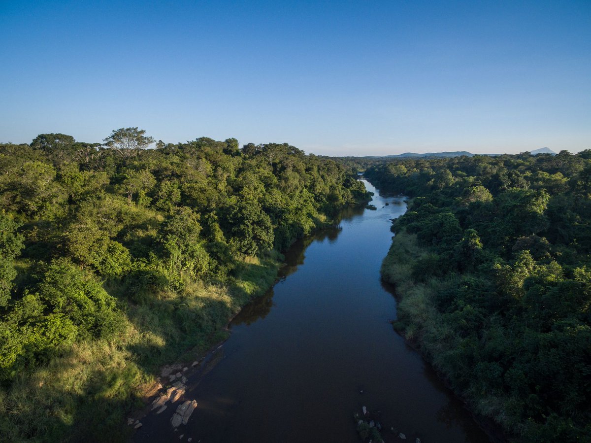 MalawiTravel's tweet photo. The magnificent Bua River runs through the rugged wilderness of the Nkhotakota Wildlife Reserve as it tumbles down the Rift Valley escarpment toward Lake Malawi. 🛶 😍

Check out⬇️
@TongoleWL @rafikicamp @AfricanParks

#Malawi #OnMyWishlist #MalawiDreaming

📸 Matthew Brazier https://t.co/gLA0iCk5fj