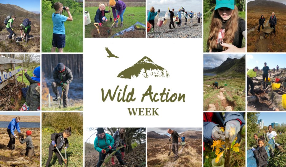 lakedistrictnpa's tweet photo. Take a wild action for nature this weekend for #WildActionWeek! Why not do some litter picking? Try switching the car for the train or a bike? Or even get started with a @JohnMuirTrust Award? Find out how else you could get involved and give back here https://t.co/1umVMvj07g https://t.co/Ww3YiVTP6H