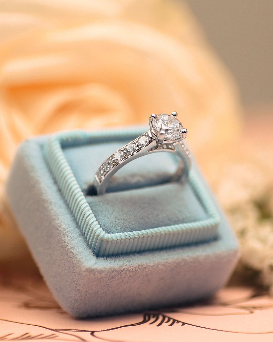 CoastDiamond's tweet image. A sparkling statement, this engagement ring shows off fine pave set diamonds across the top shank. Finished with graceful milgrain edging. #showyourcoast

Style No. LC5191HF
-
-
-
-
-
-
#gracefulring #diamondsetting #lovestory #gettingmarried