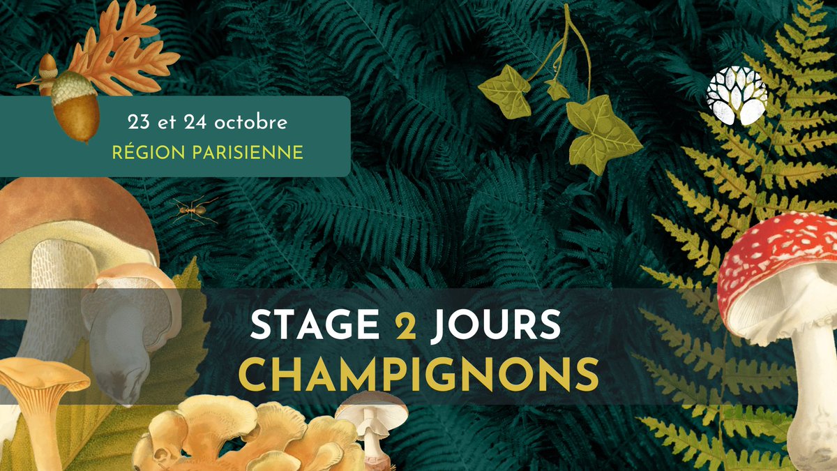 Le Chemin de la Nature tweet media