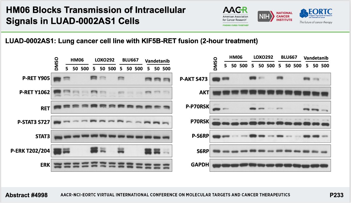 We have shown the target engagement and inhibition of downstream signaling(AKT, MTOR, MAPK, AKT and STAT pathways) that was comparable to the current approved inhibitors selpercatinib(LOXO292) and pralsetinib(BLU667) and superior to the multi-kinase RET inhibitor vandetanib. 6/14