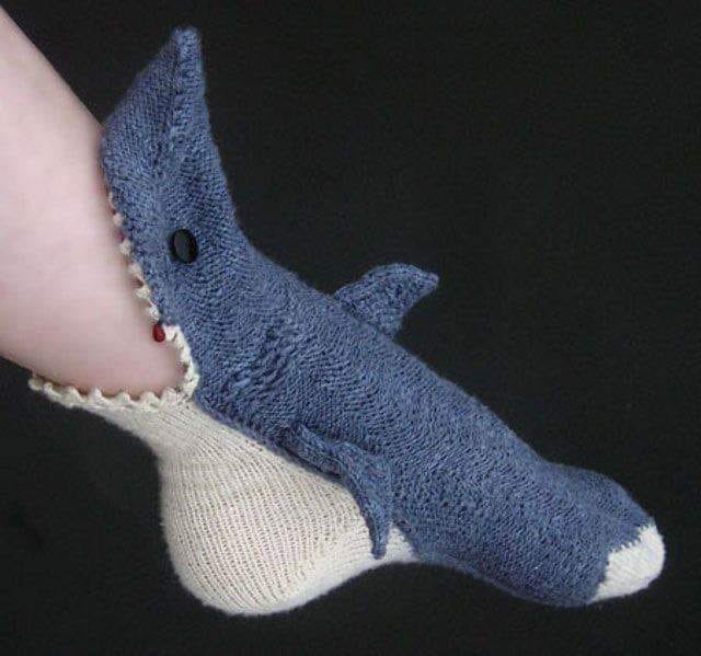 EnsedeCiencia's tweet photo. Los calcetines de los Biólogos Marinos 💙🦈 https://t.co/CL6PvyPnrA
