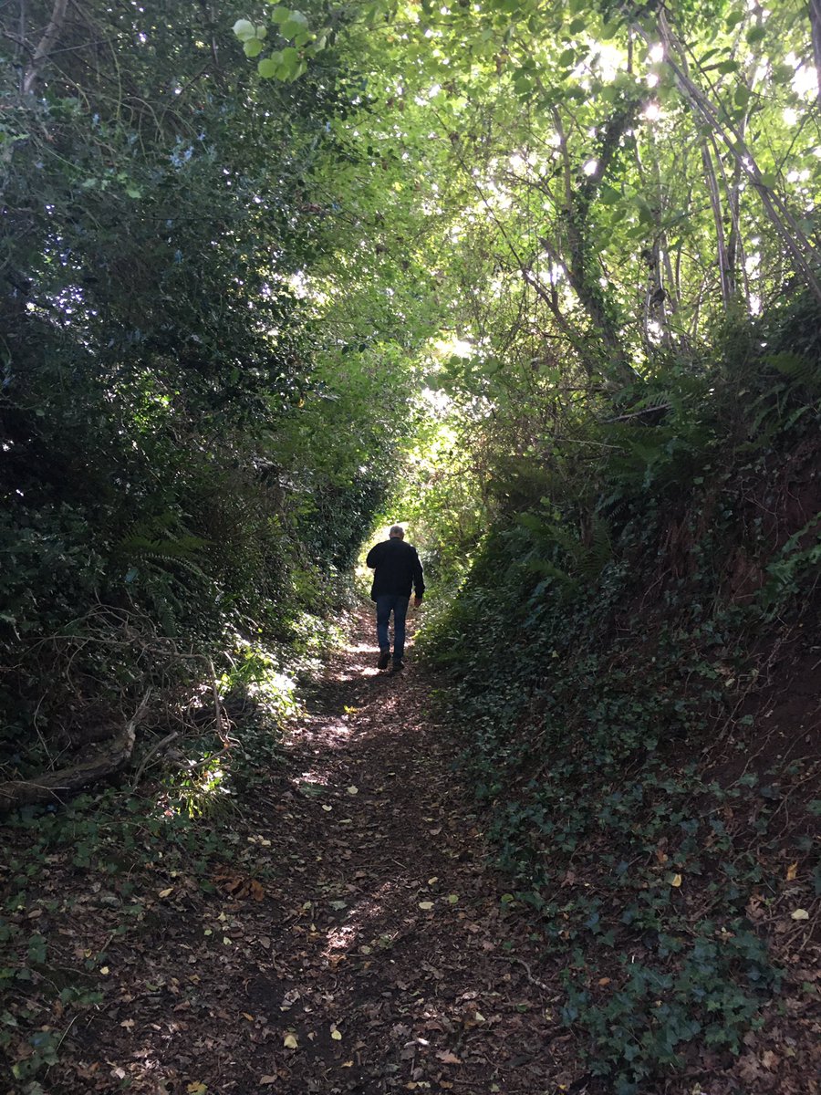 My favourite photo from last weeks #walk with my Dad to #ChewMagna x0x #walksinnature #autumnwalks