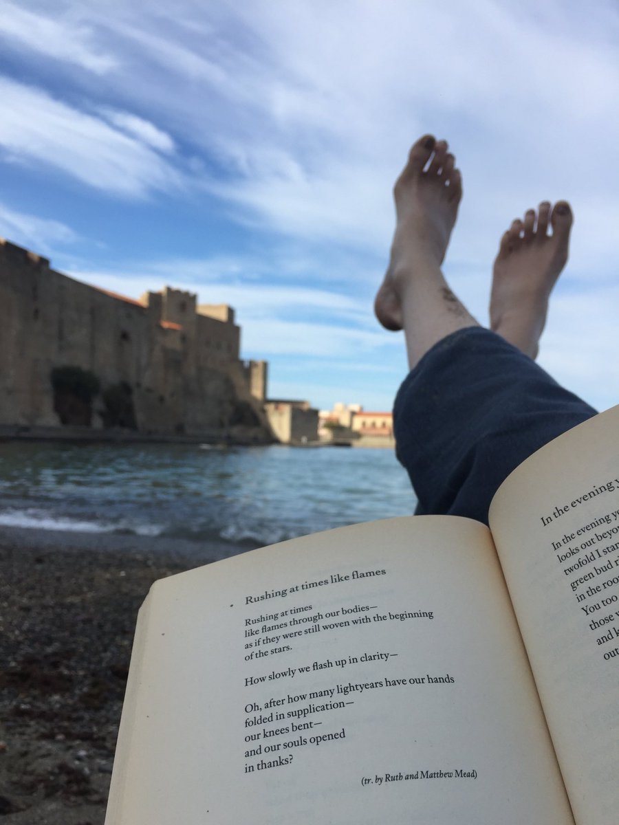BridgetHolding's tweet photo. The joy of reading poetry by the sea: ‘Rushing at Times Like Flames’ by Nelly Sachs (1891-1970) #wildwords #amwriting #amediting #poetry #nature #naturewriting https://t.co/PyoxgoYGYZ