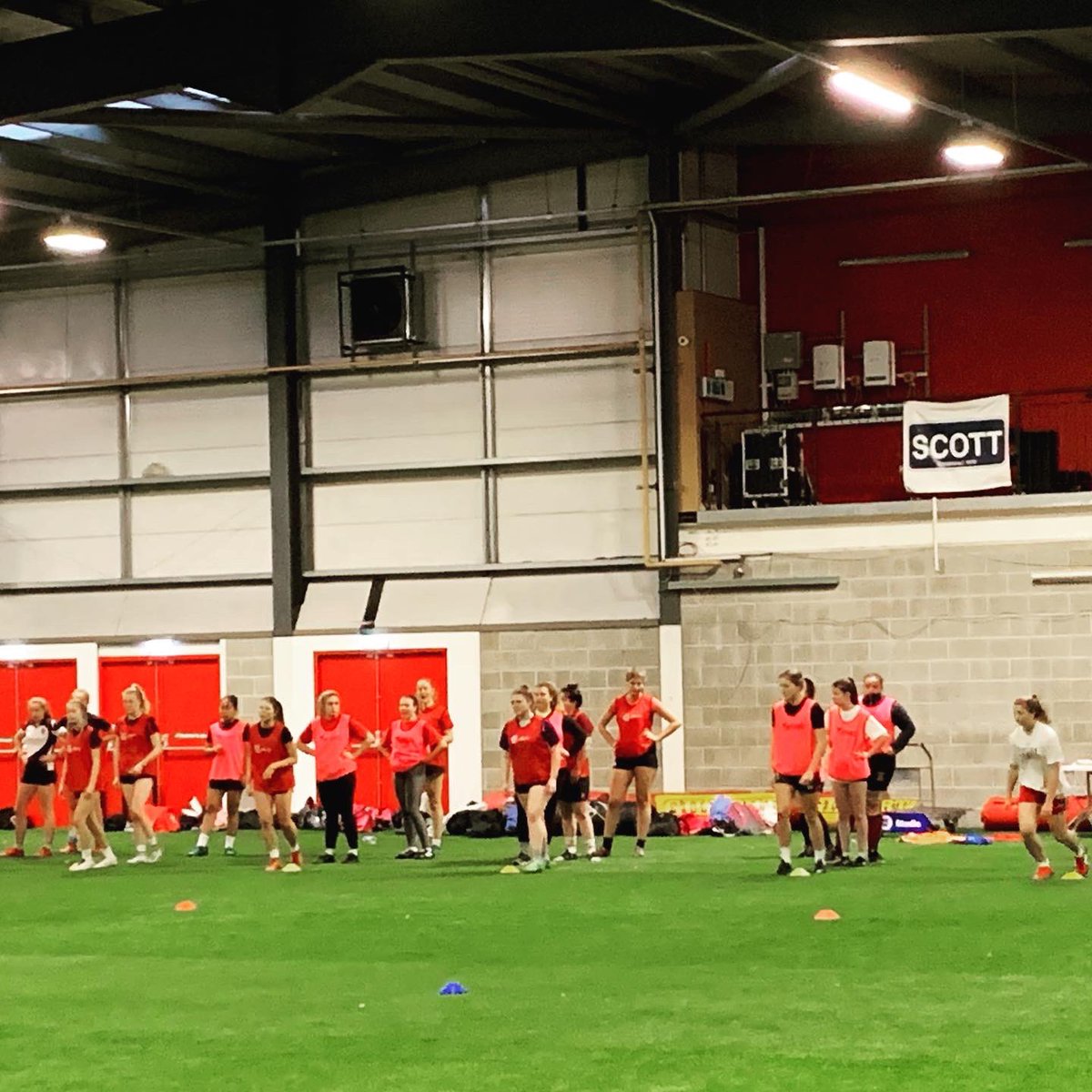 Scarlets Ladies tweet media