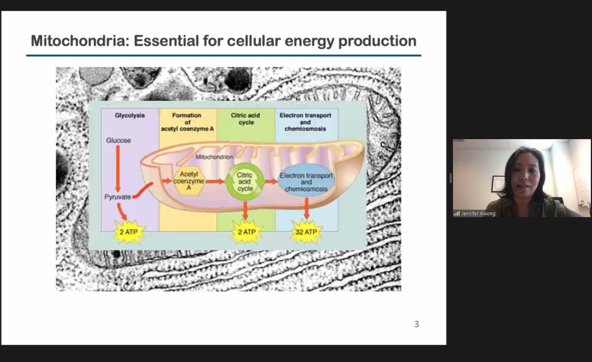 Great to learn from Dr. Jennifer Q. Kwong about TFAM in cardiomyopathy. 
GTS2021 symposium: globaltalentsinscience.org/GTS2021/final-…