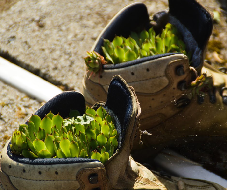 helloconscious's tweet image. We have a #sustainable challenge for you this week! 

See if you can #reuse, or make something new out of something you were going to throw away.  

Let us know how you get on 👇