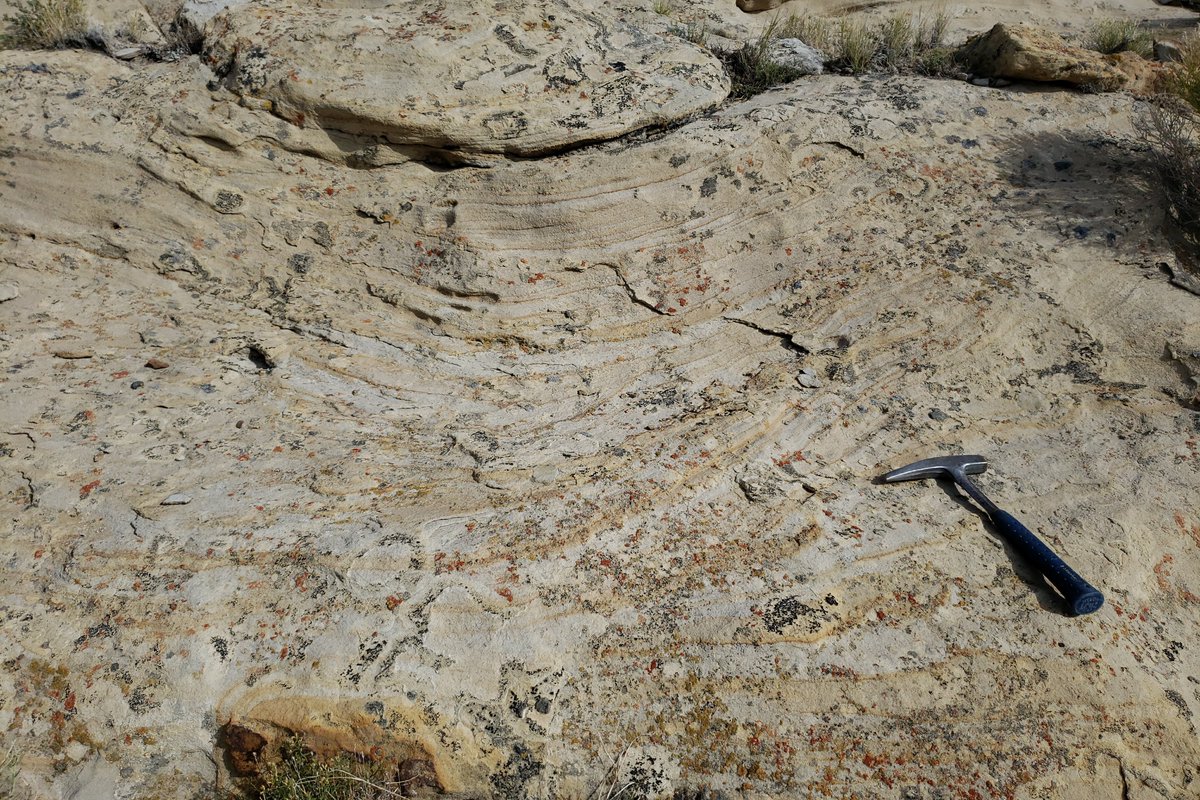 SP_TheGeologist's tweet photo. Check out these soft-sediment deformed TCS sandstones! Part of the delta topset deposits of the McCourt Tongue, Rock Springs Formation.

#sedimentarystructures #sedimentology #geology #FieldworkFriday https://t.co/ntKi7CRewi