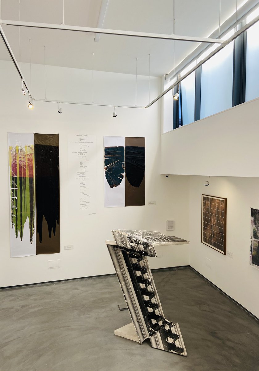 Megan Ringrose tweet media