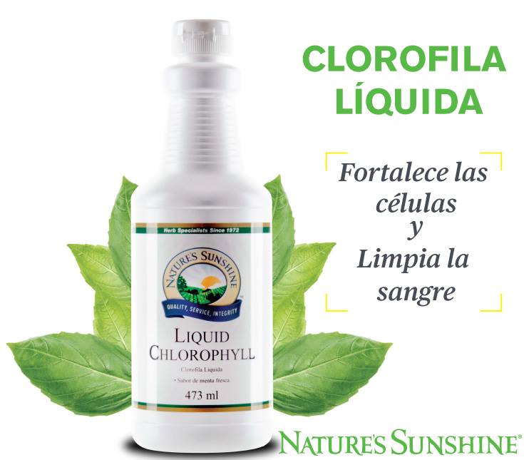 Desintoxicante del tracto digestivo
Apoya la desintoxicación
Regula al alza las enzimas de la Fase II
Sabor a menta fresca PARA MAS IMFORMACION LLAMANOS AL 829-546-9637