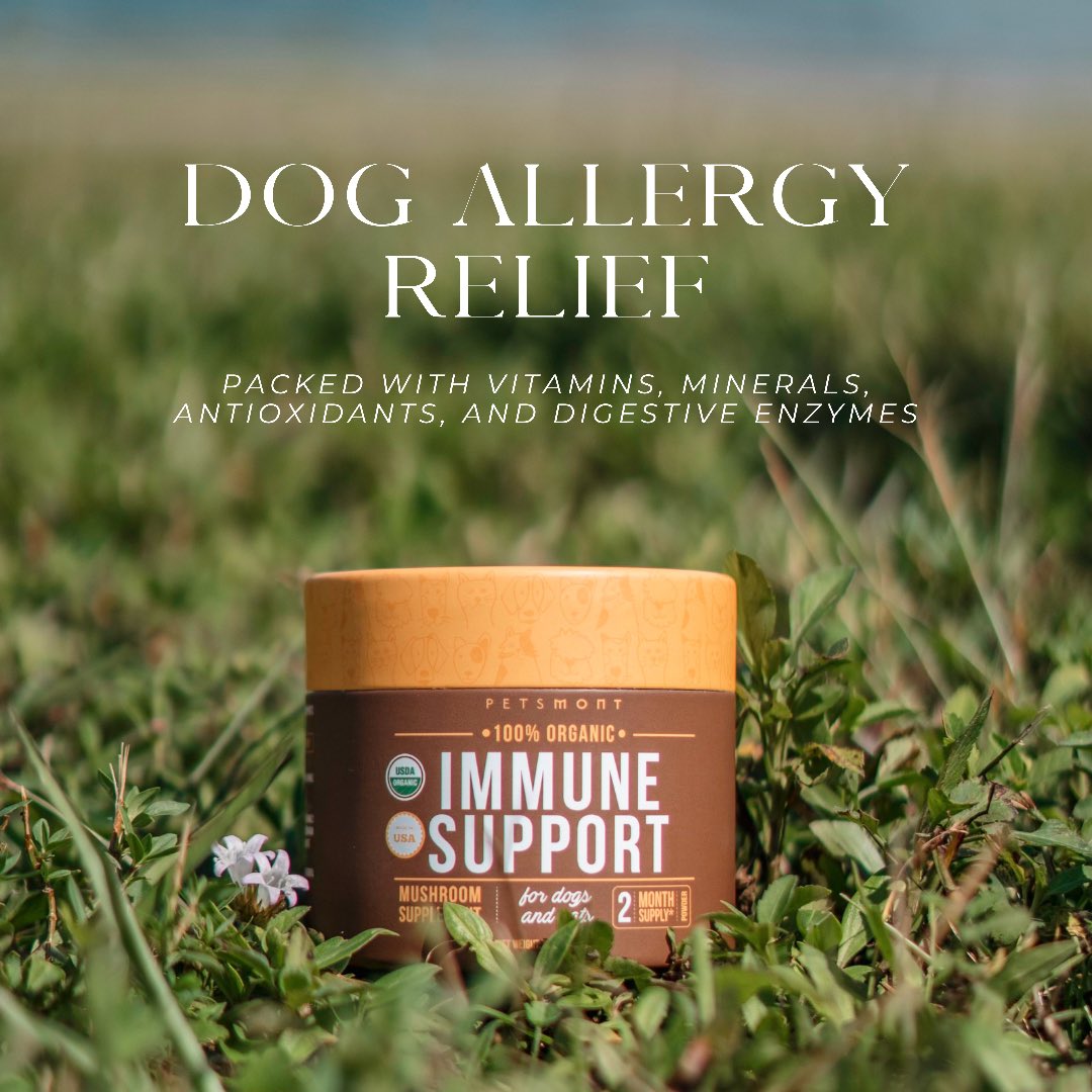 petsmont's tweet photo. Our Dog Allergy Relief supplement is a must-have for all #dogparents! 🐶

Check out this 5-star review from Amazon!🤩 https://t.co/24WP4csQuH