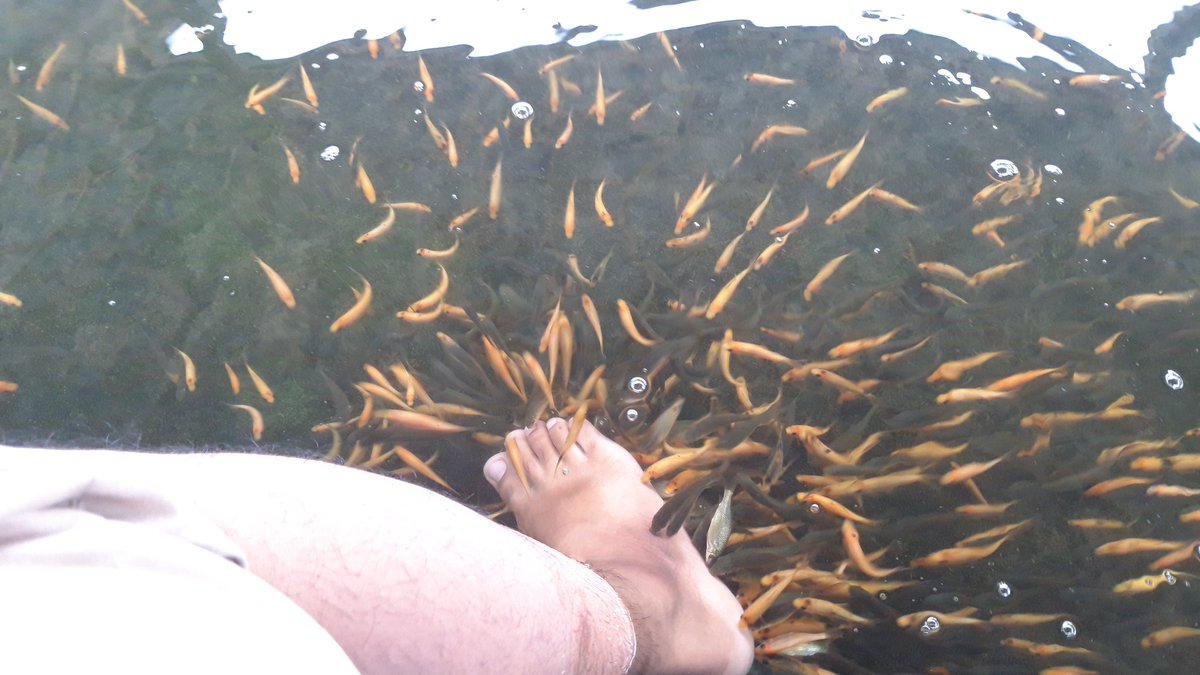 Hiburan baru di <a href="/pasarkumandang/">xcell</a> #Kertek #wonosobo geli-geli enak