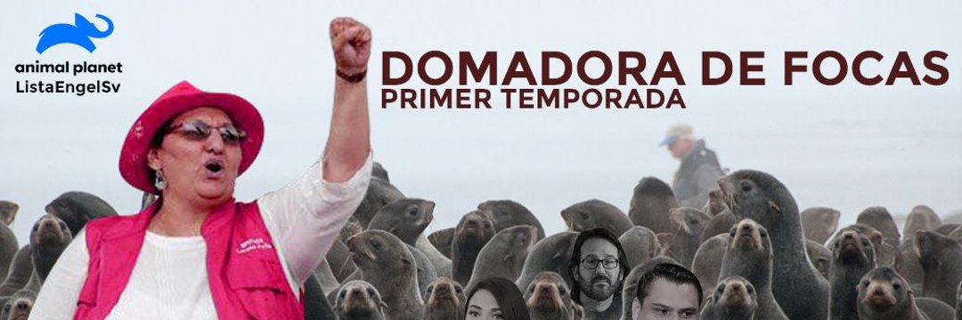 TonyCacaSv's tweet photo. Ella es mi prima, Alma Marcela, trabaja en el acuario, Focus Beach de La Costa del Sol, sus jefes la están obligando a asistir a la marcha del 17 de Octubre en contra del gobierno. 

Favor ayúdenme a difundir esta injusticia. https://t.co/xiHxWVw0vi