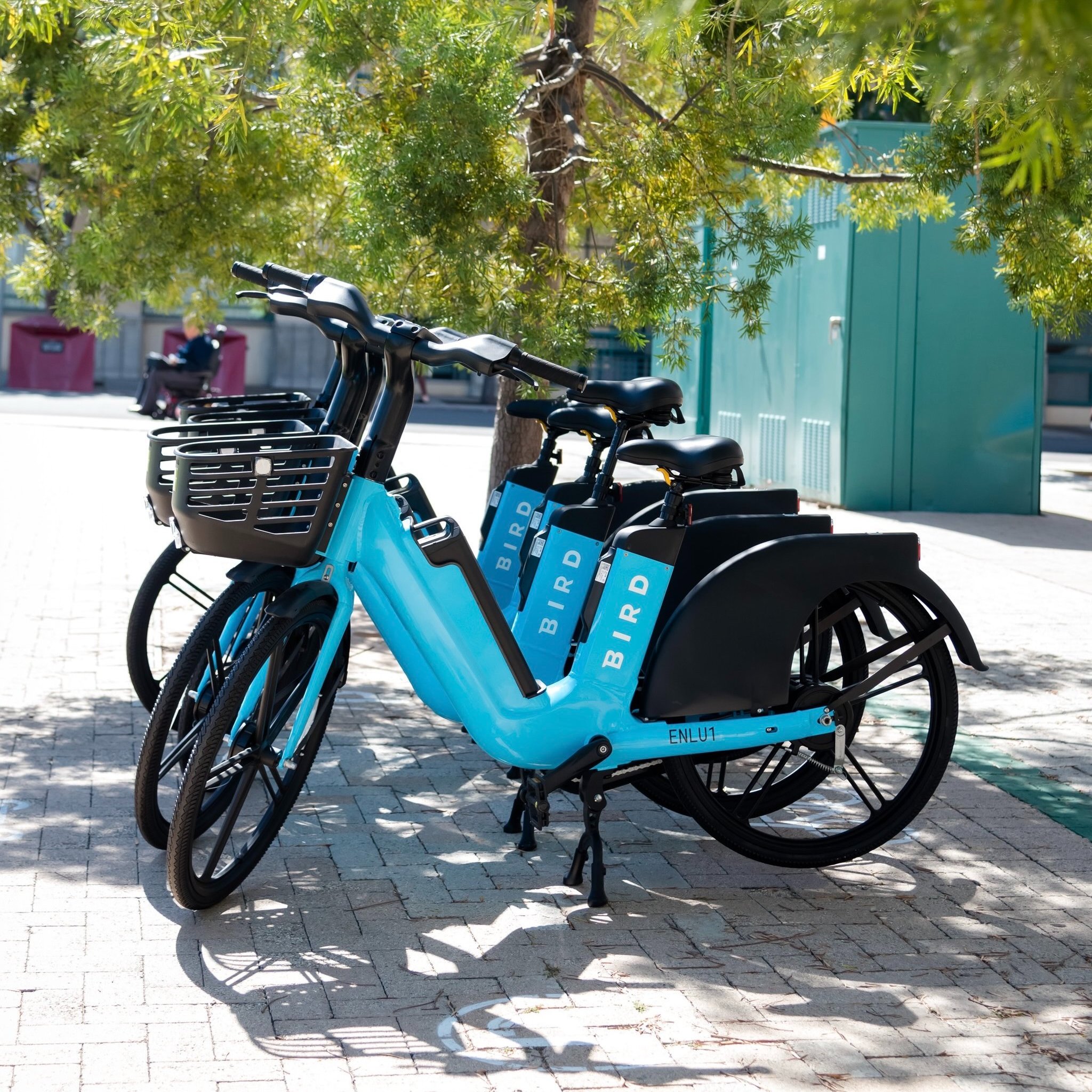 Blue bird cheap bike