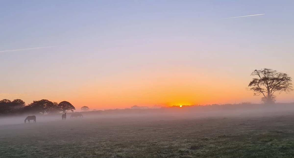 JessWestwood's tweet photo. Mornings like this is makes life so wonderful. #HappyHorses #FieldChecks https://t.co/FSxaeVOfrF